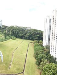 Blk 386 Bukit Batok West Avenue 5 (Bukit Batok), HDB 5 Rooms #485433861